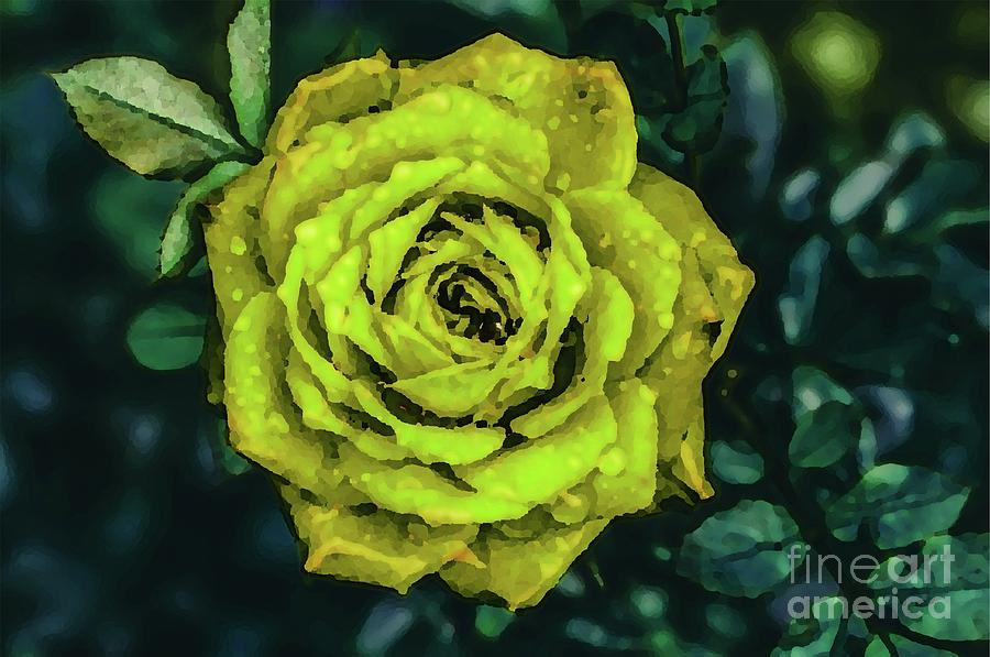 Golden Night Rose Digital Art by Bill King