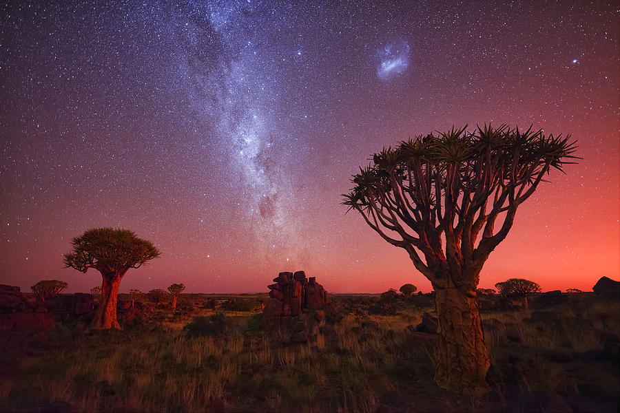 Golden Night Sky Photograph by Michael Zheng - Fine Art America