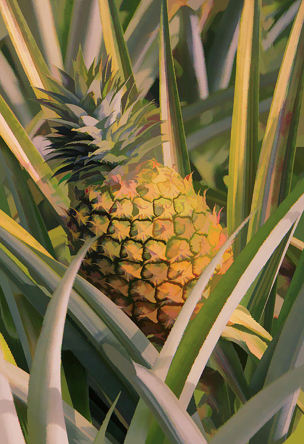 Golden Pineapple Mixed Media by Rosalie Scanlon