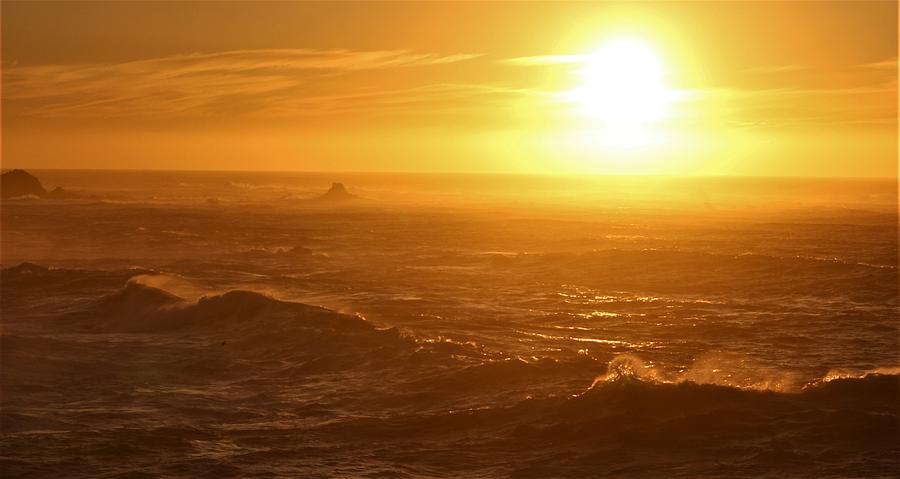 Golden Power Photograph by Michael Dressel - Fine Art America