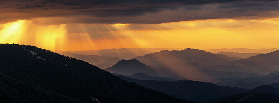 Golden Rain by Evgeni Dinev Golden Rain by Evgeni Dinev