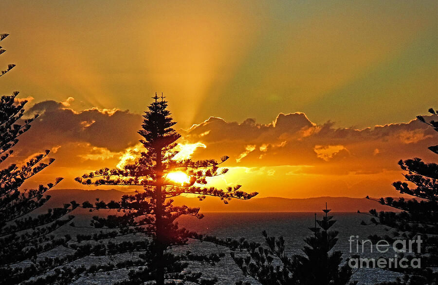 Golden Rays Photograph by Trudee Hunter Golden Rays Photograph by Trudee Hunter