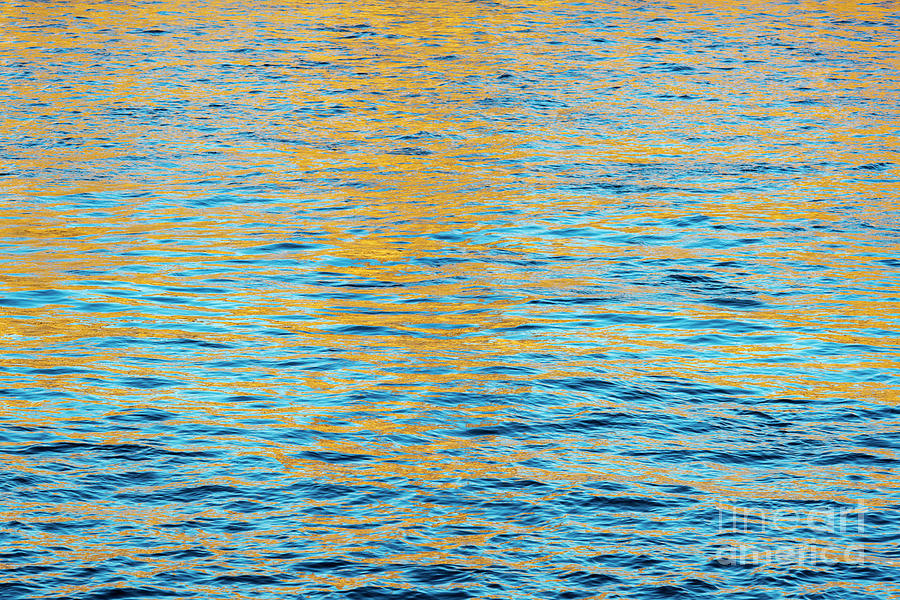 Golden Ripples Photograph by Tim Gainey