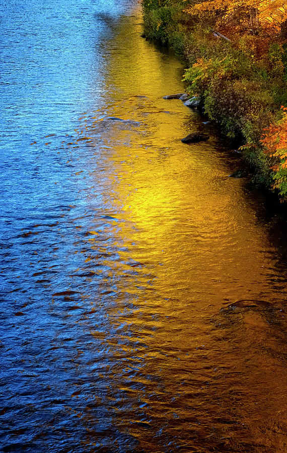 Golden River Bank Photograph by Tom Singleton