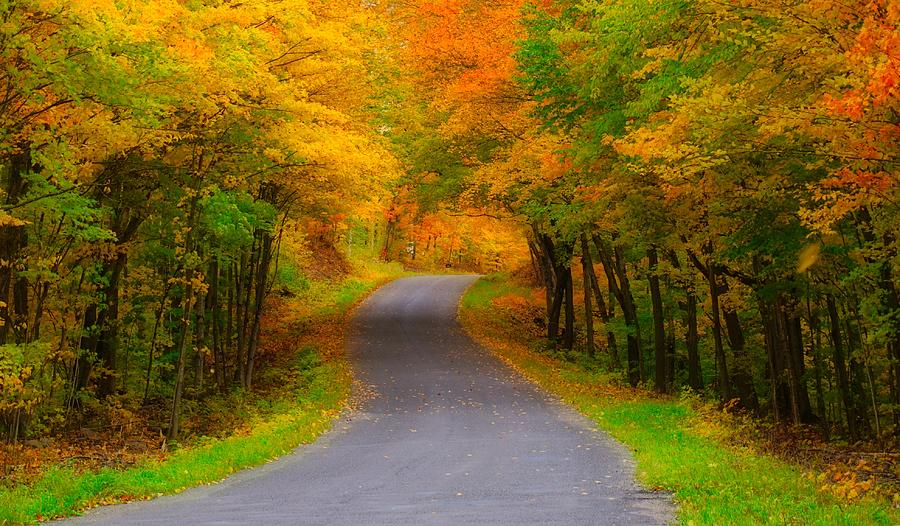 Golden Road by Bryan Smith Golden Road by Bryan Smith
