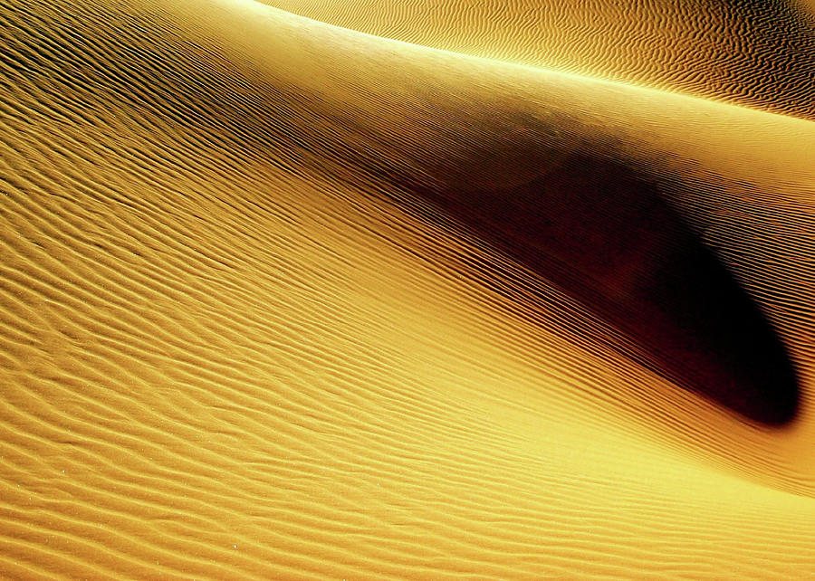Golden Sands Of Libya Photograph by Joe & Clair Carnegie / Libyan Soup