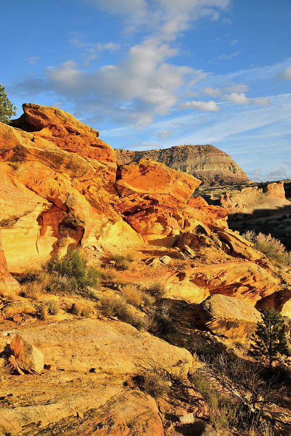 Golden Sandstone Hills along Rim Rock Drive Photograph by Ray Mathis