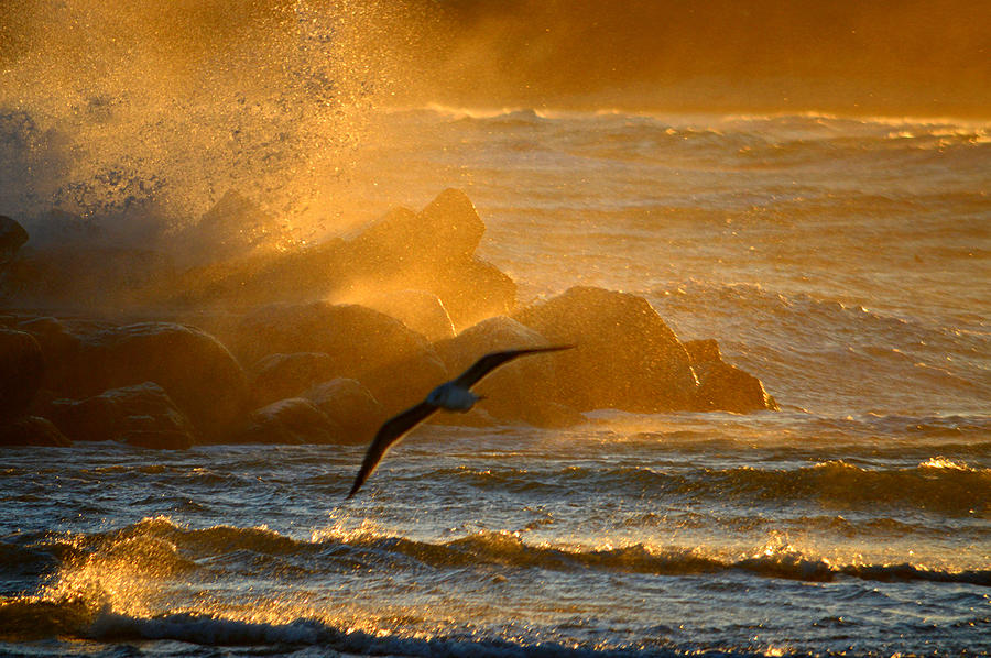 Golden Sea Spray - Cape Cod Bay Photograph by Dianne Cowen Cape Cod Photography
