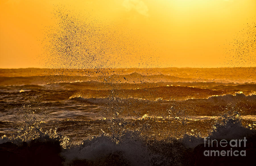 Golden Sea Spray Photograph by Debra Banks