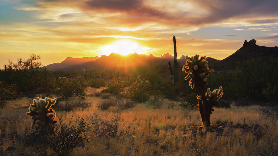 Golden Skies In The Sonoran  Photograph by Saija Lehtonen