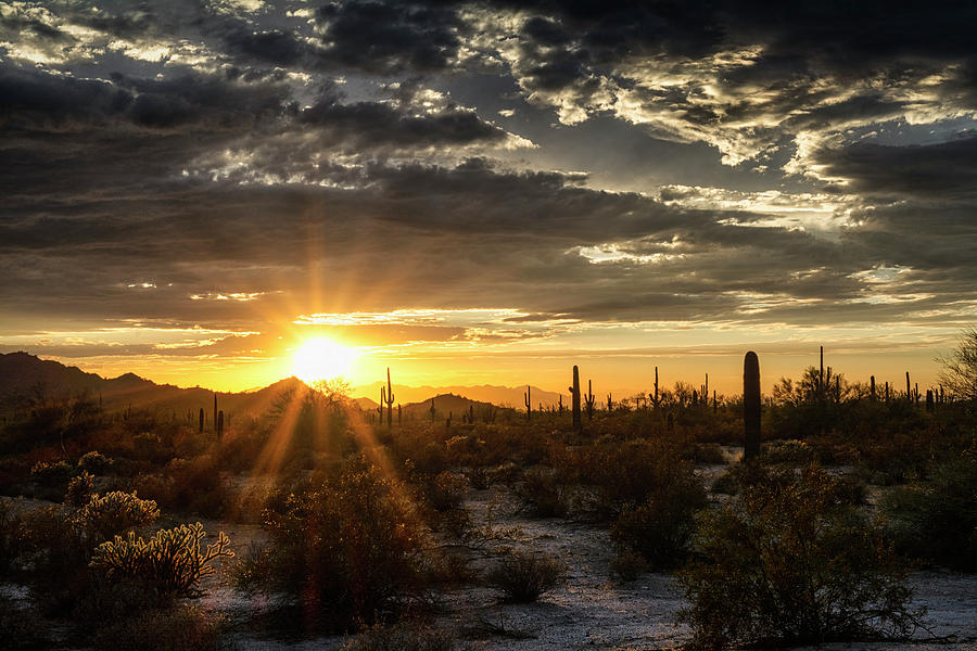 Golden Sonoran Sunset Skies  Photograph by Saija Lehtonen