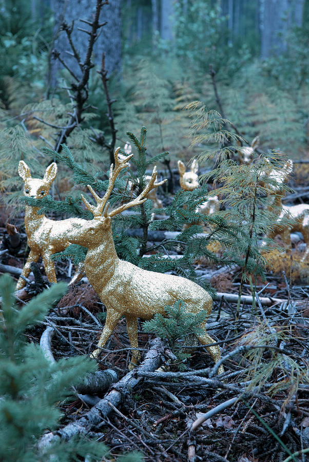 Golden Stag And Deer Figurines On Woodland Floor Amongst Tree Seedlings Photograph by Matteo Manduzio