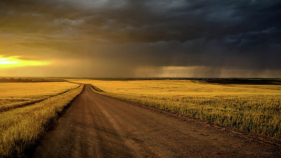 Golden Storm Photograph by Gary Mosman - Fine Art America