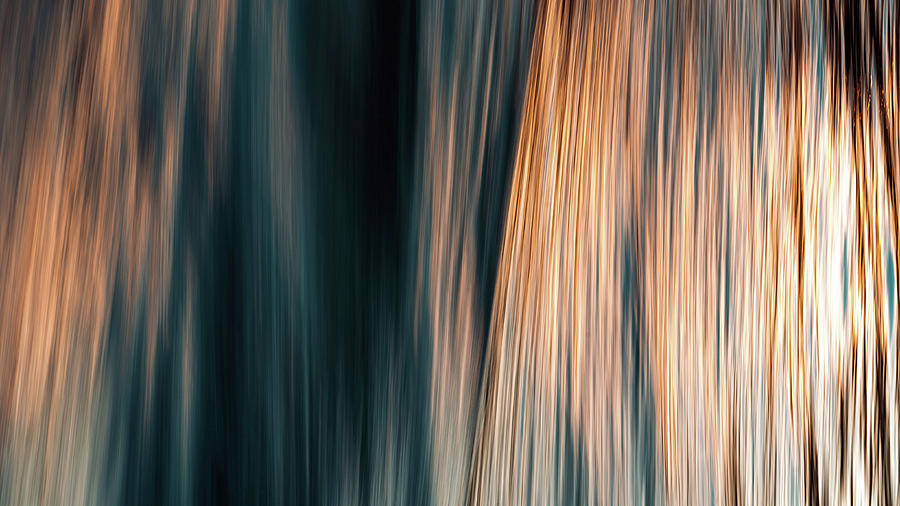 Golden Strings by Carlene Smith Golden Strings by Carlene Smith