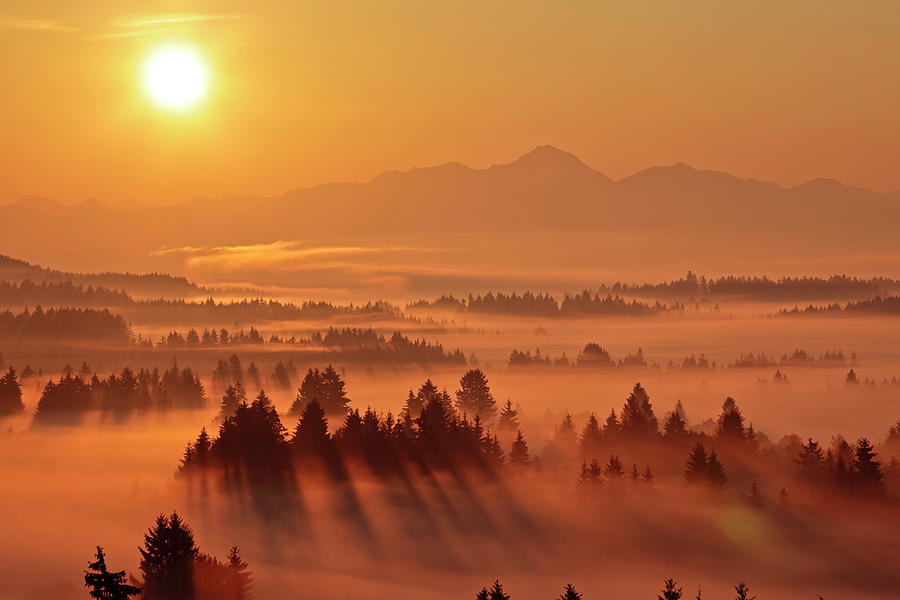 Golden Sunrise With Fog Digital Art by Bernd Rommelt