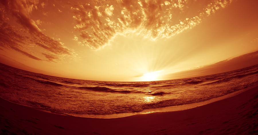 Golden Sunset Photograph by Franckreporter