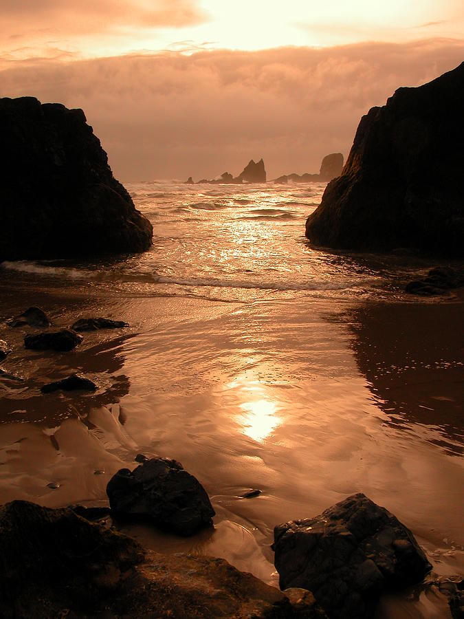 Golden Sunset On The Oregon Coast Photograph by Danielle D. Hughson