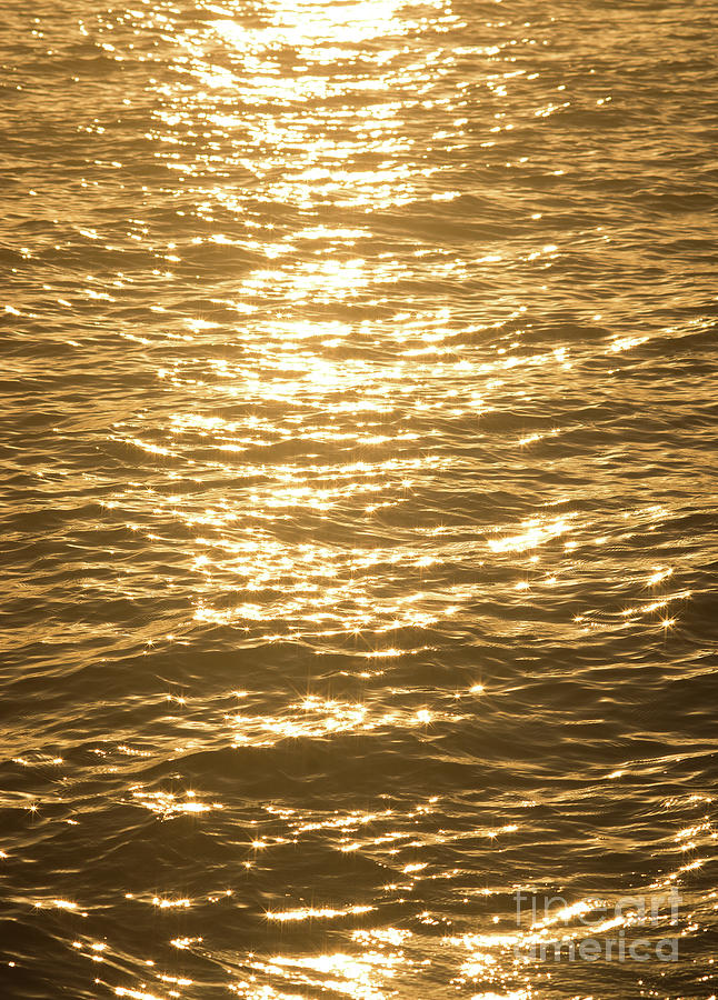 Golden Sunshine With Stars And Sparkles Background Photograph