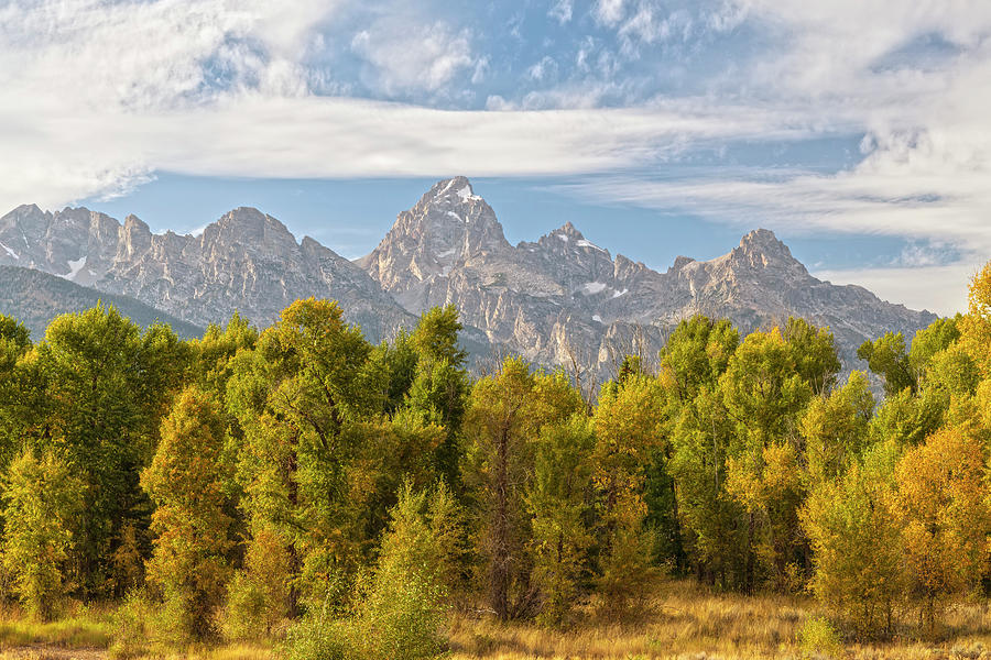 Golden Tetons Photograph by Angelo Marcialis - Fine Art America