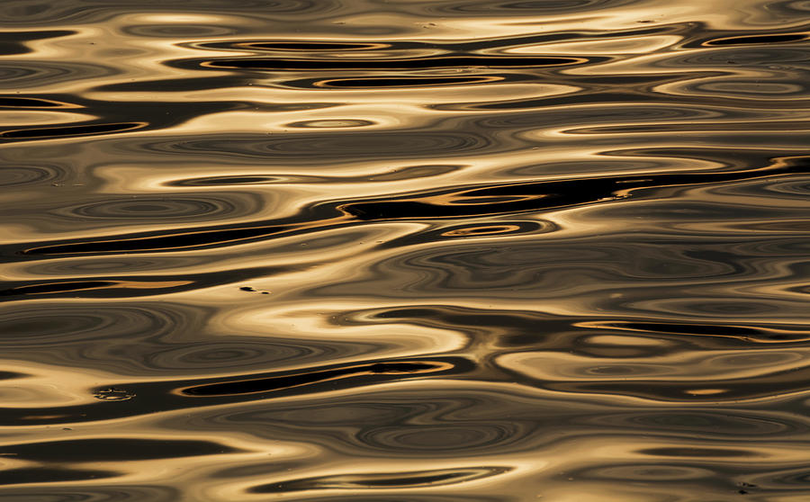 Golden Water Photograph by Martin Vorel Minimalist Photography