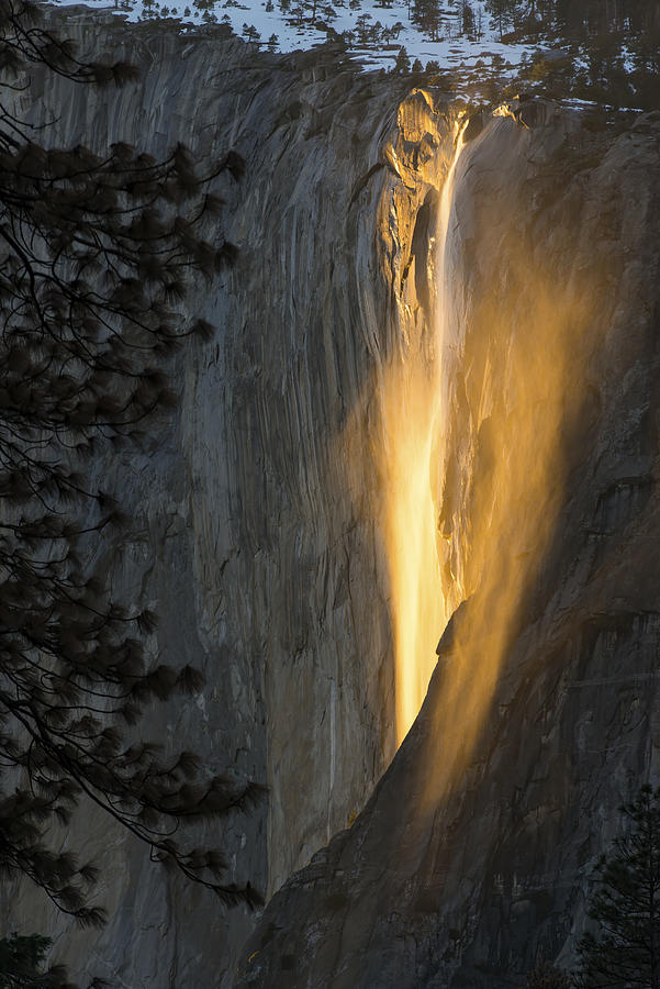 Yosemite National Park Photograph - Golden Waterfall by Bjoern Alicke