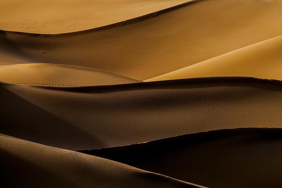 Desert Photograph - Golden Waves by Mohammad Shefaa