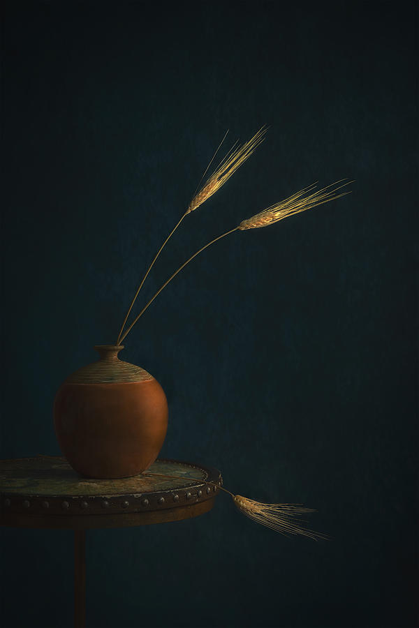 Golden Wheat Photograph by Lydia Jacobs