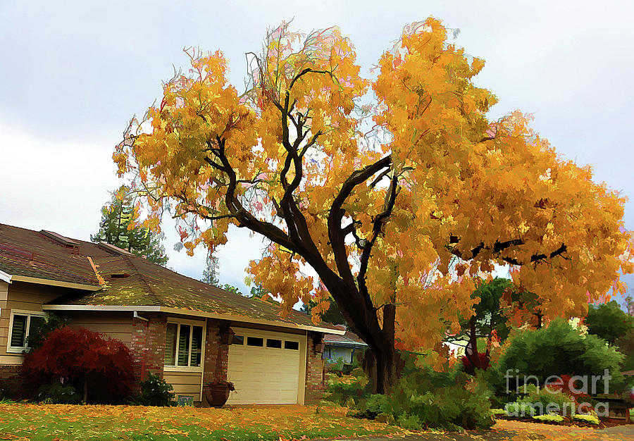 Golden Yellow Autumn Colors Tree  Photograph by Chuck Kuhn