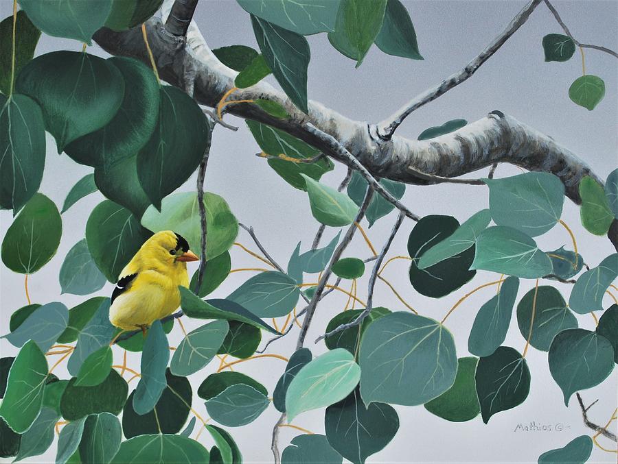Goldfinch and Aspen by Peter Mathios Goldfinch and Aspen by Peter Mathios