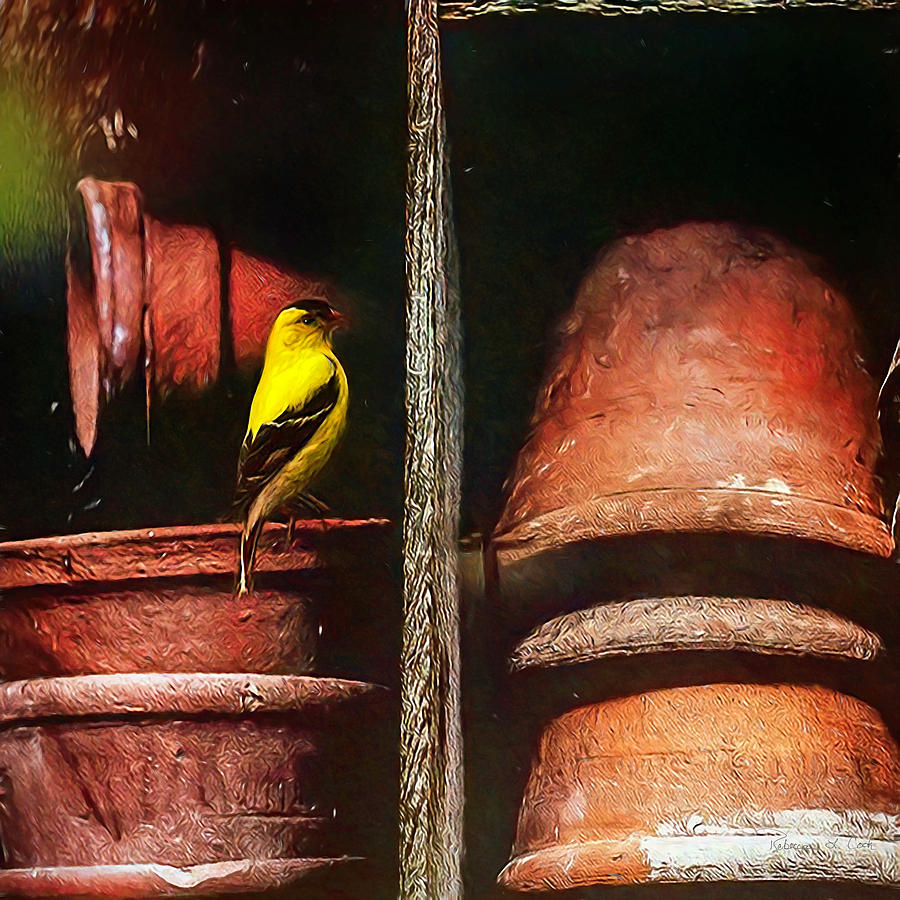Goldfinch And Clay Pots Photograph