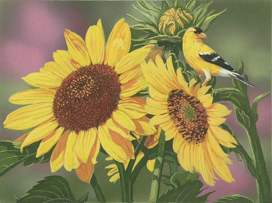 Summer Painting - Goldfinch And Sunflowers by William Vanderdasson