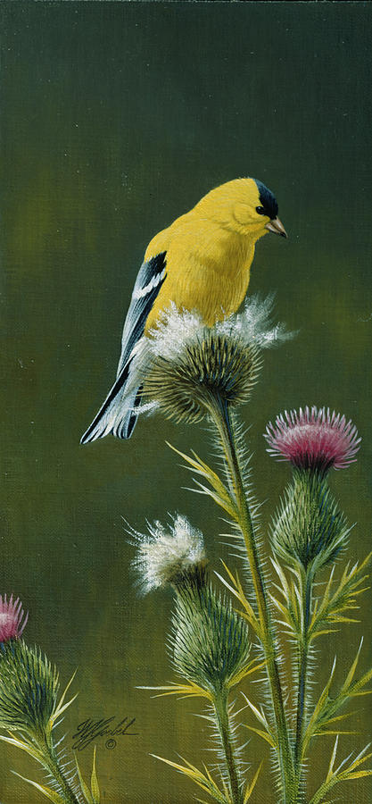 Bird Painting - Goldfinch On Thistle by Wilhelm Goebel