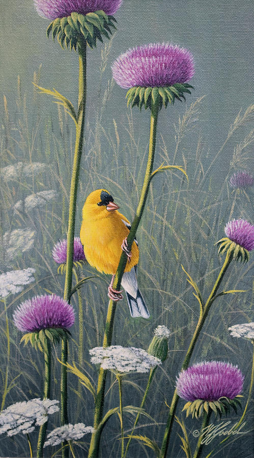 Bird Painting - Goldfinch by Wilhelm Goebel