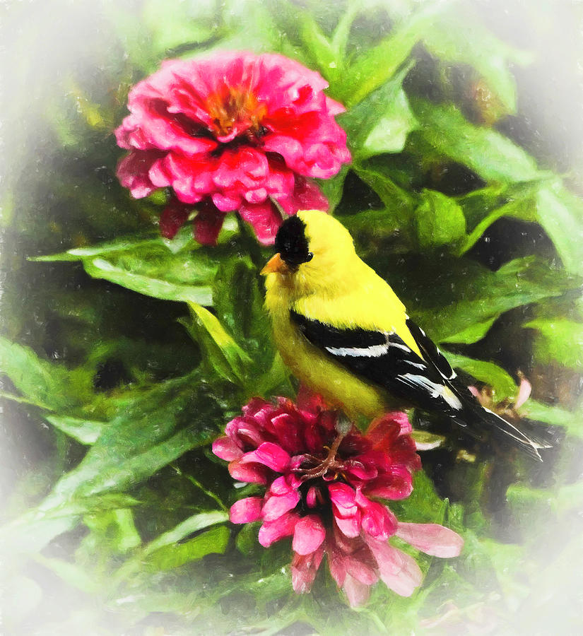 Flower Photograph - Goldfinches Love Zinnias by Ola Allen