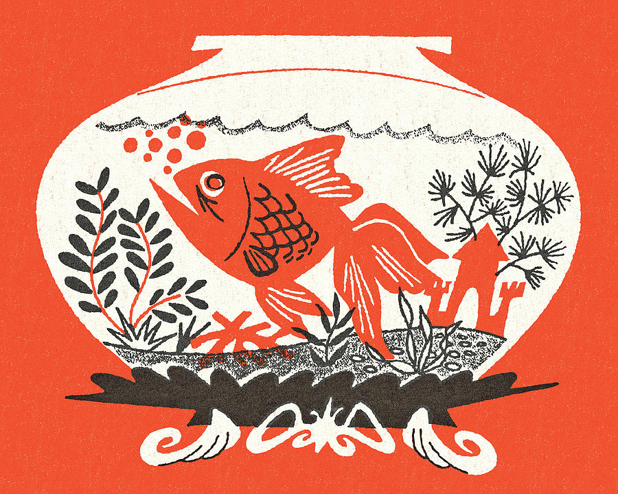 Fish Drawing - Goldfish Bowl by CSA Images