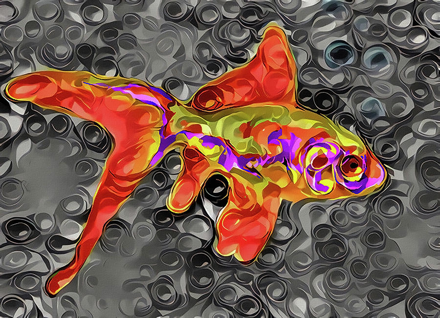 Goldfish Digital Art by Bruce Rolff