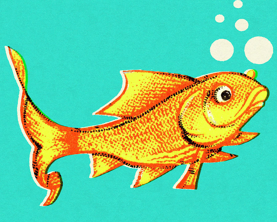 Fish Drawing - Goldfish by CSA Images