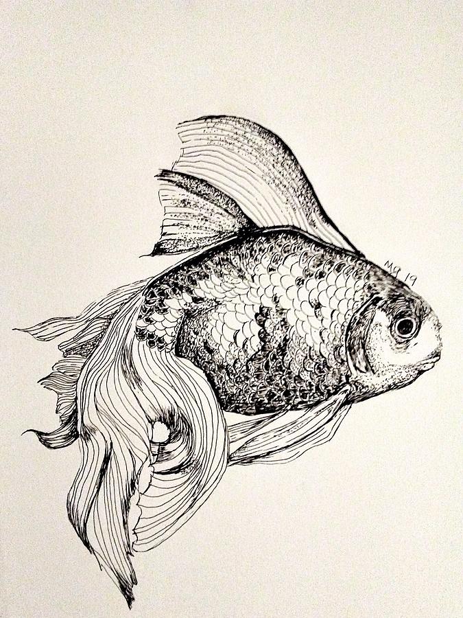 Goldfish Drawing by Mindy Gibbs