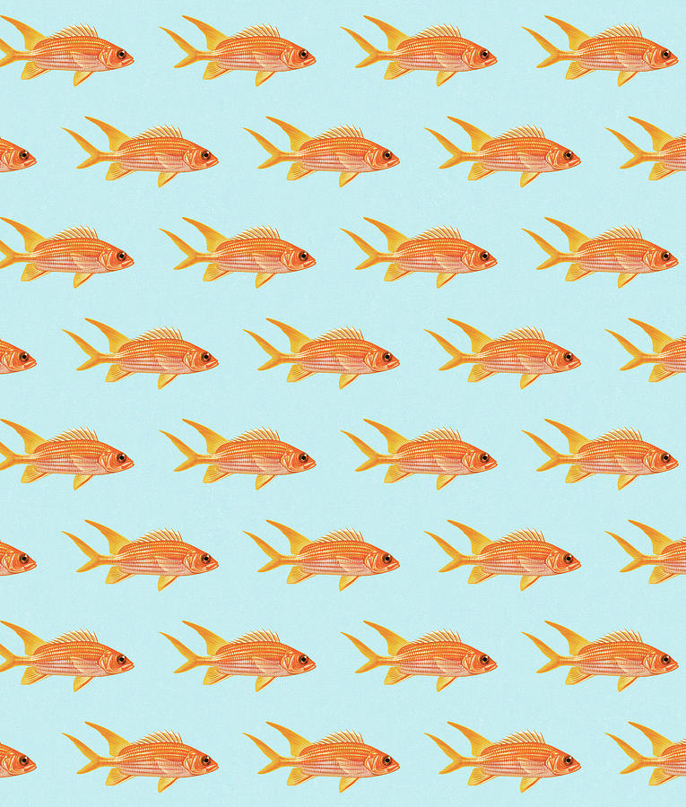 Fish Drawing - Goldfish Pattern by CSA Images