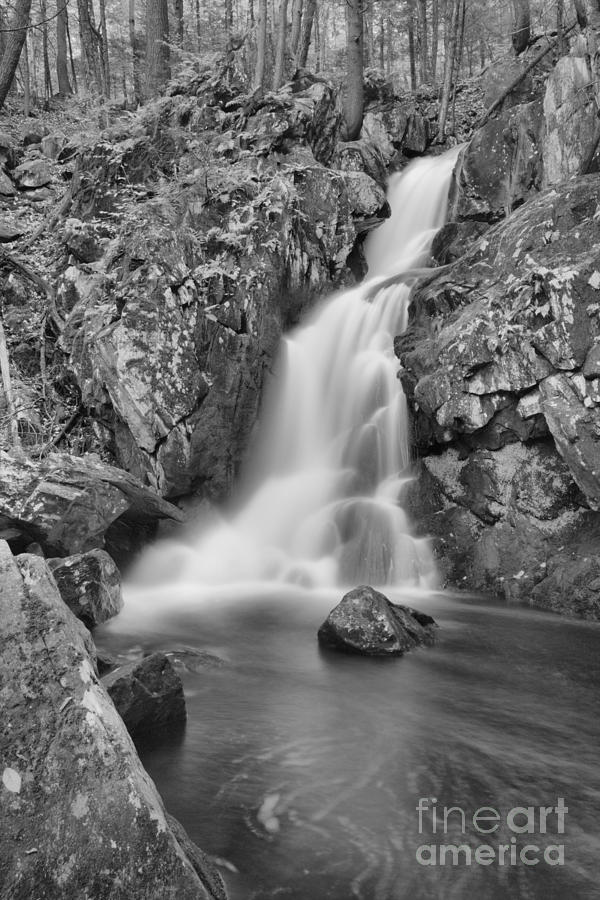 Goldmine Brook Falls In The Forest Black And White Photograph by Adam Jewell
