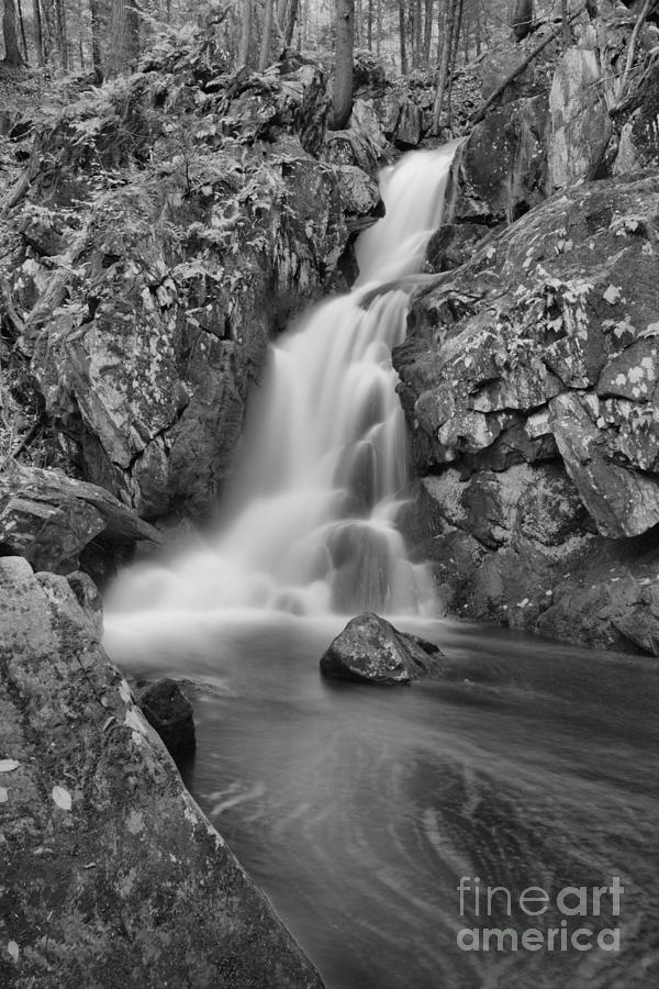 Goldmine Brook Falls Portrait Black And White Photograph by Adam Jewell