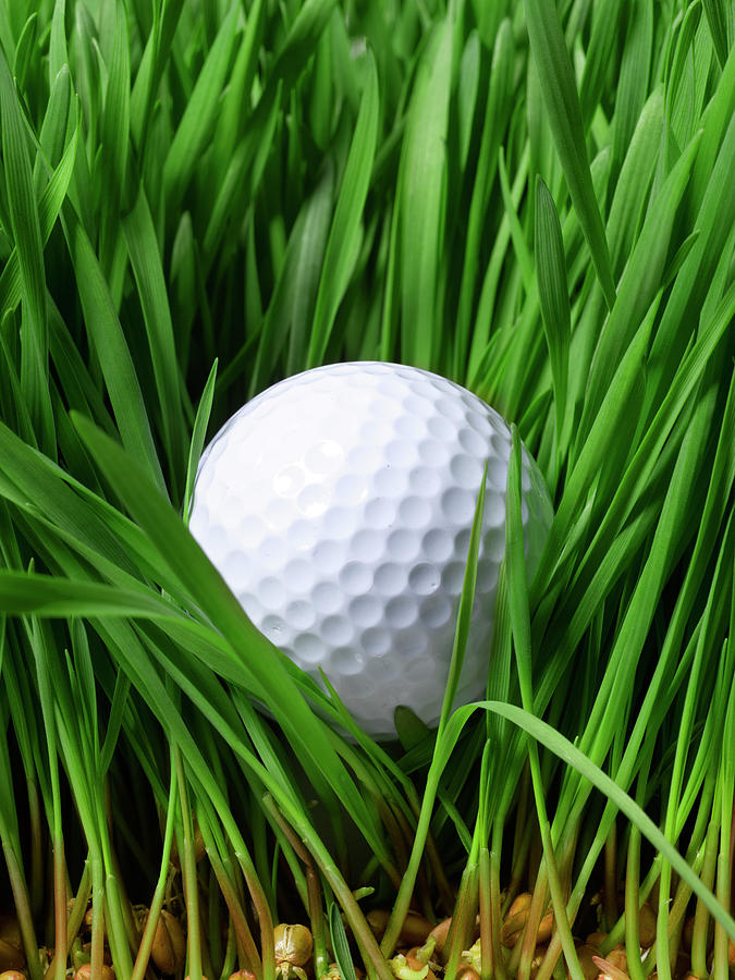 Golf Ball In Grass By Studio 504