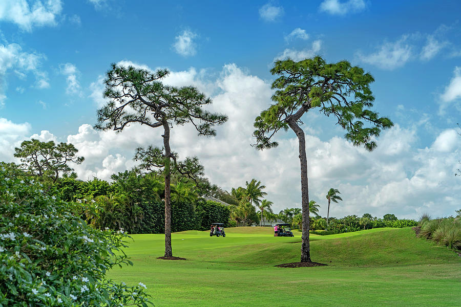 Golf Course, Boca Raton, Florida Digital Art by Laura Zeid