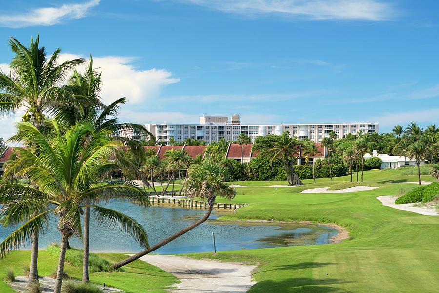 Golf Course In Palm Beach Digital Art by Laura Zeid