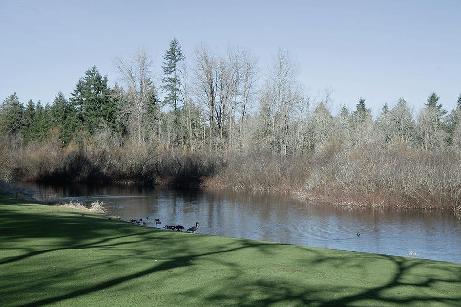 Golf Course Pond Photograph by Robert Braley