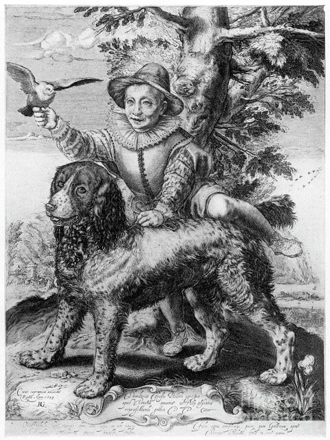 Goltziuss Engraving Of The Son Drawing by Print Collector