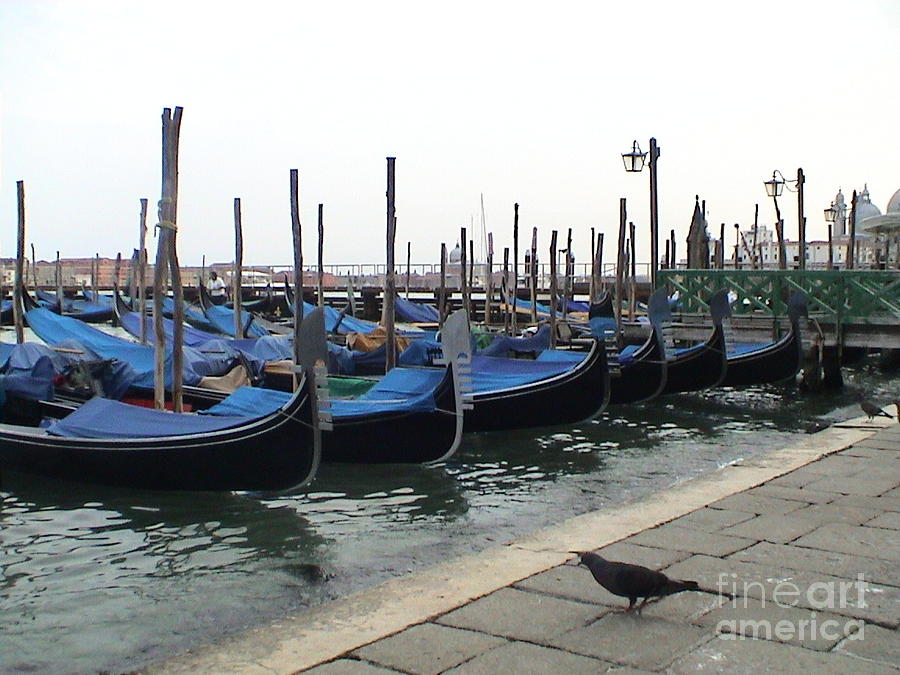 Gondolas Venice Italy Panoramic View Photograph by John Shiron
