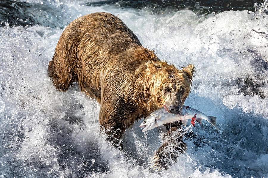 Gone Fishing Photograph by Ian Stotesbury - Fine Art America