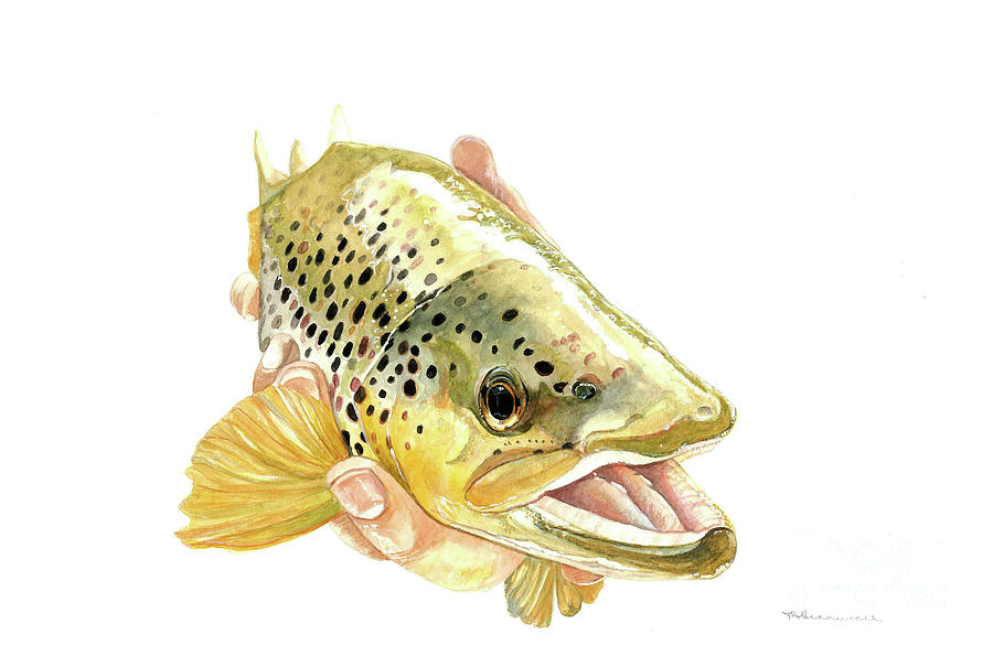Good Catch Painting by Tracey Hunnewell