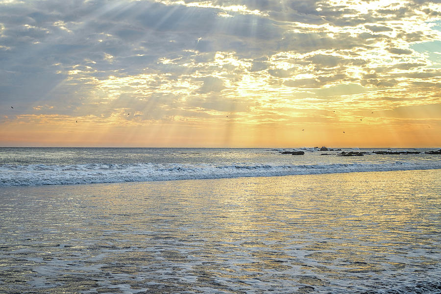 California Photograph - Good For The Soul by Marnie Patchett California Photograph - Good For The Soul by Marnie Patchett